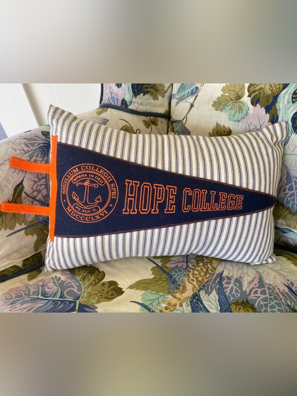 Hope College Holland Michigan Pennant Flag Accent Pillow Flying Dutchmen Grad